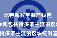 比特派数字资产钱包  Bitpie钱包扶持多条主流的区块链财富