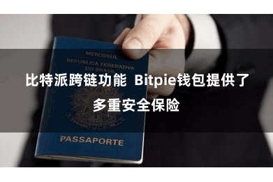 比特派跨链功能  Bitpie钱包提供了多重安全保险