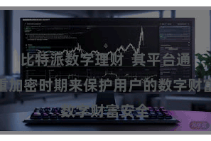 比特派数字理财  其平台通过多重加密时期来保护用户的数字财富安全
