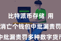比特派币存储  用户不错在消亡个钱包中纰漏责罚多种数字货币