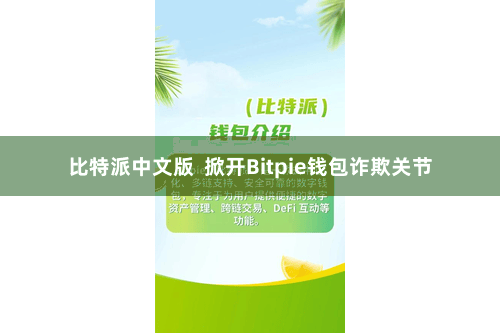 比特派中文版  掀开Bitpie钱包诈欺关节