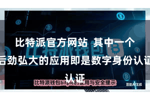 比特派官方网站  其中一个后劲弘大的应用即是数字身份认证