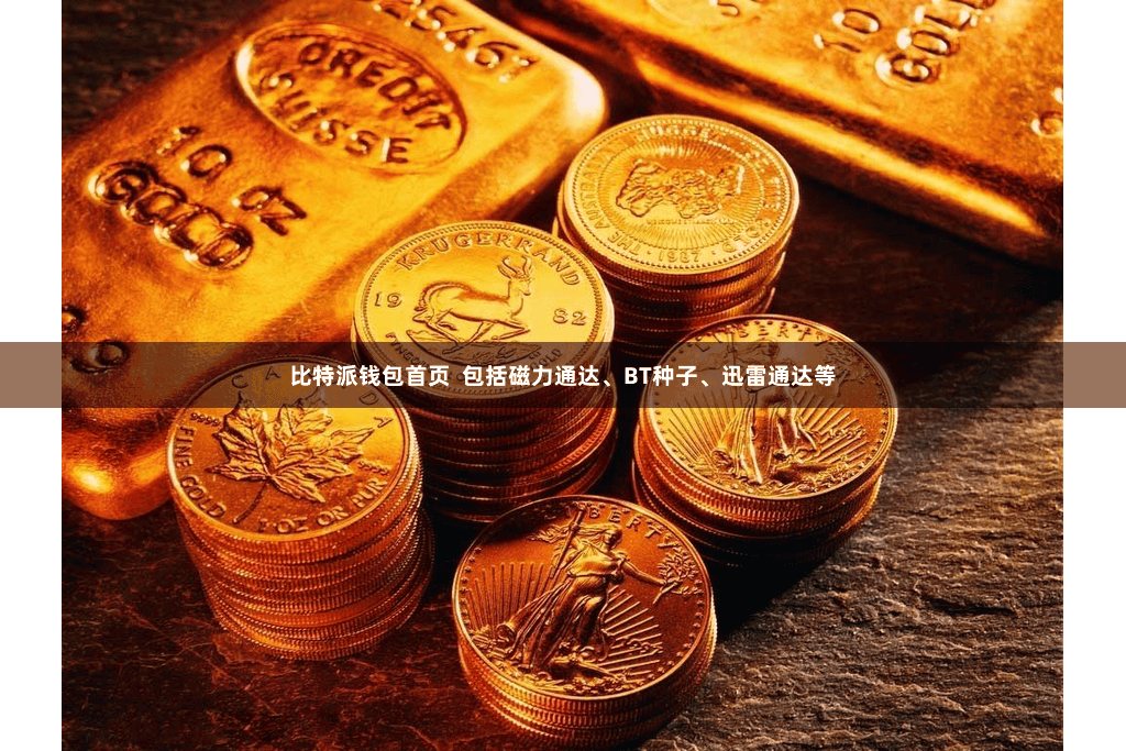 比特派钱包首页  包括磁力通达、BT种子、迅雷通达等