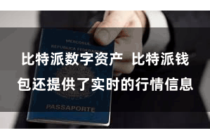 比特派数字资产  比特派钱包还提供了实时的行情信息