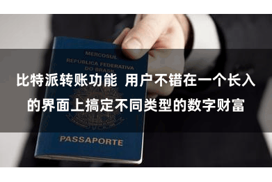 比特派转账功能  用户不错在一个长入的界面上搞定不同类型的数字财富